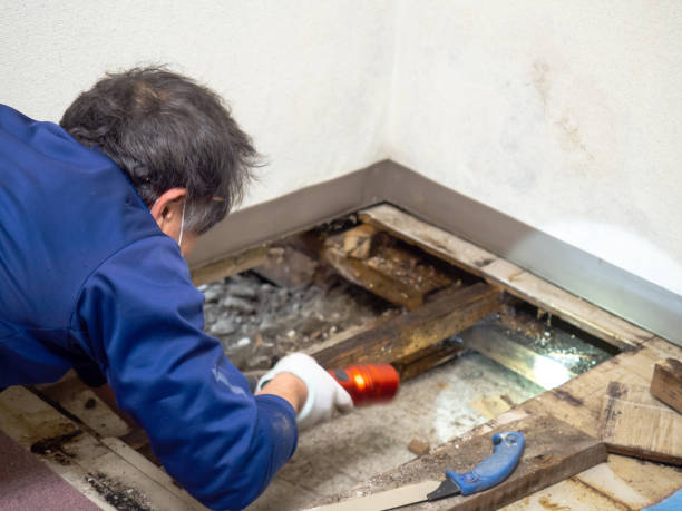 Crawl Space Mold Removal in Clermont, GA