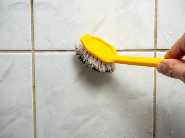 Mold Removal Process in Clermont, GA