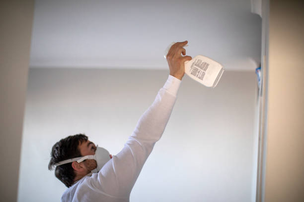 Best Best Mold Removal Companies  in Clermont, GA