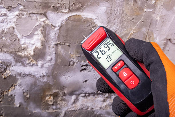 Best Attic Mold Removal  in Clermont, GA