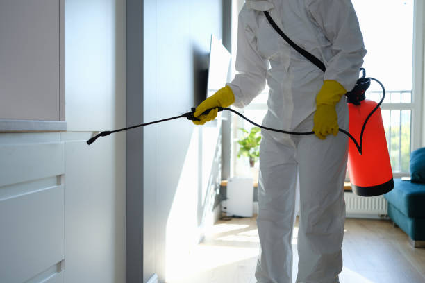 Best Residential Mold Removal  in Clermont, GA