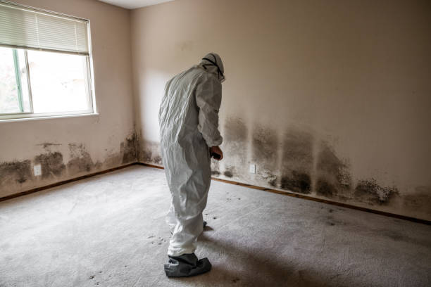 Best Mold Testing  in Clermont, GA