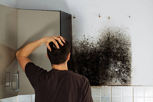 Best Mold Removal Process  in Clermont, GA